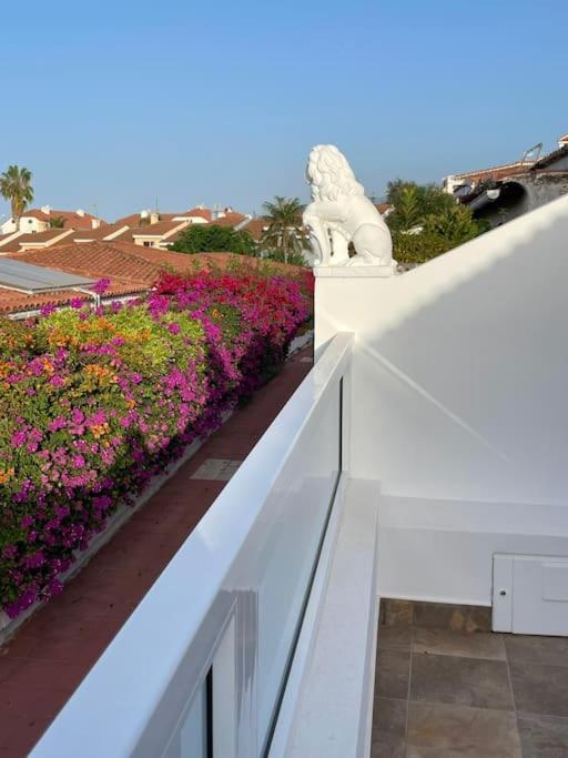 Acogedor Bungalow Con Vistas Apartment Puerto de la Cruz  Exterior photo